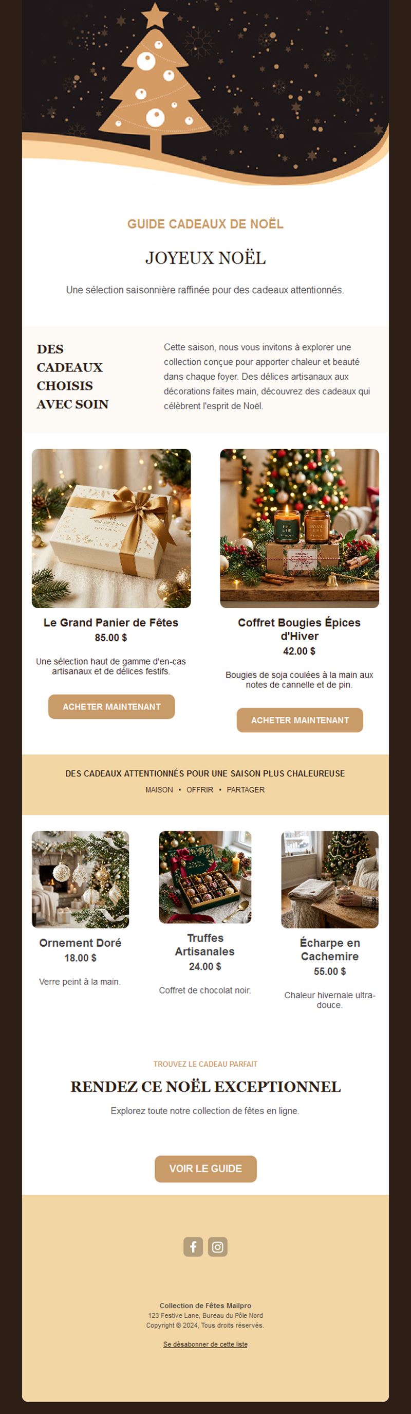 Newsletter guide cadeaux des fêtes