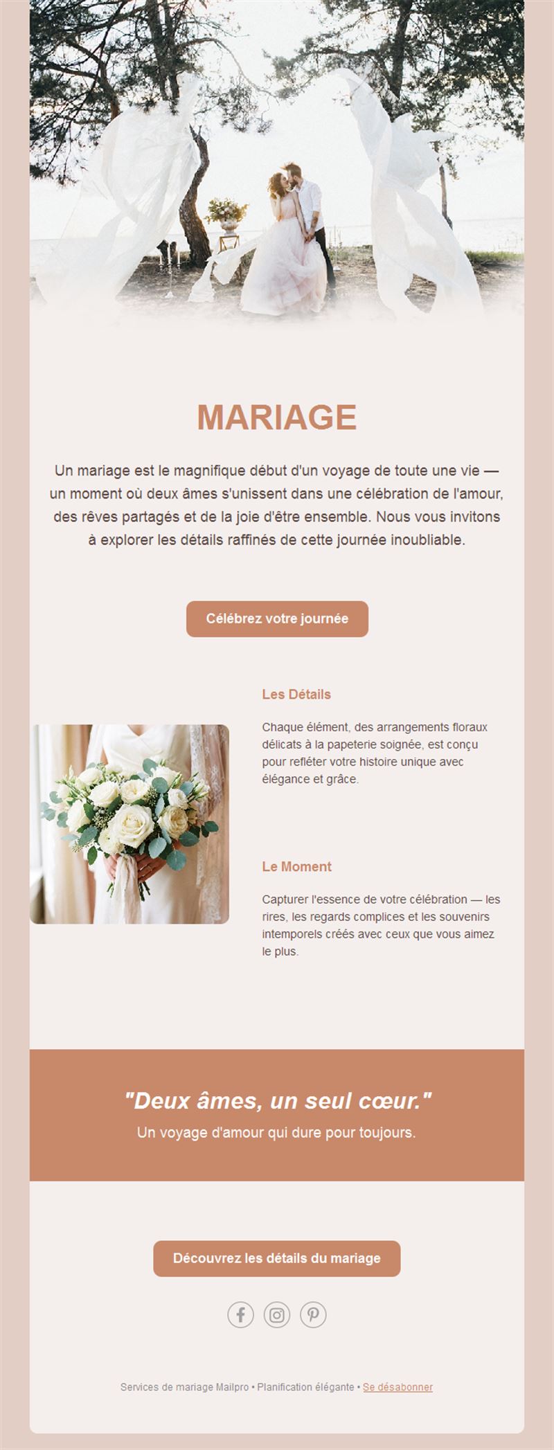 Email élégant de mariage terre cuite