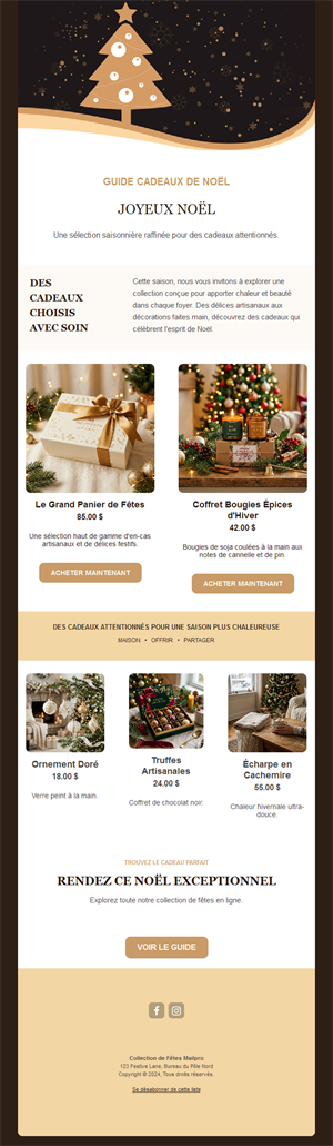Newsletter guide cadeaux des fêtes