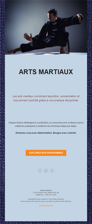 Email de programmes de kung-fu