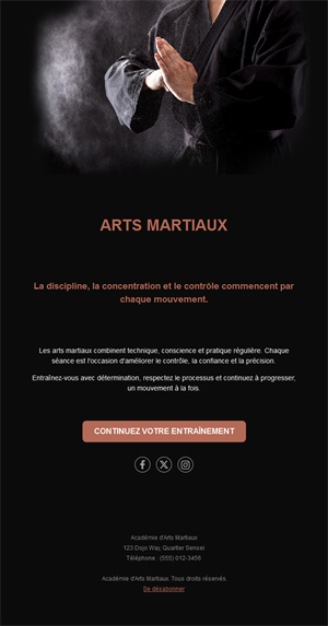 Email noir d'académie d'arts martiaux
